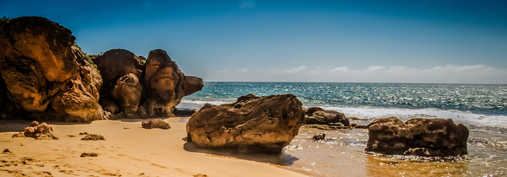 Rocky coastline